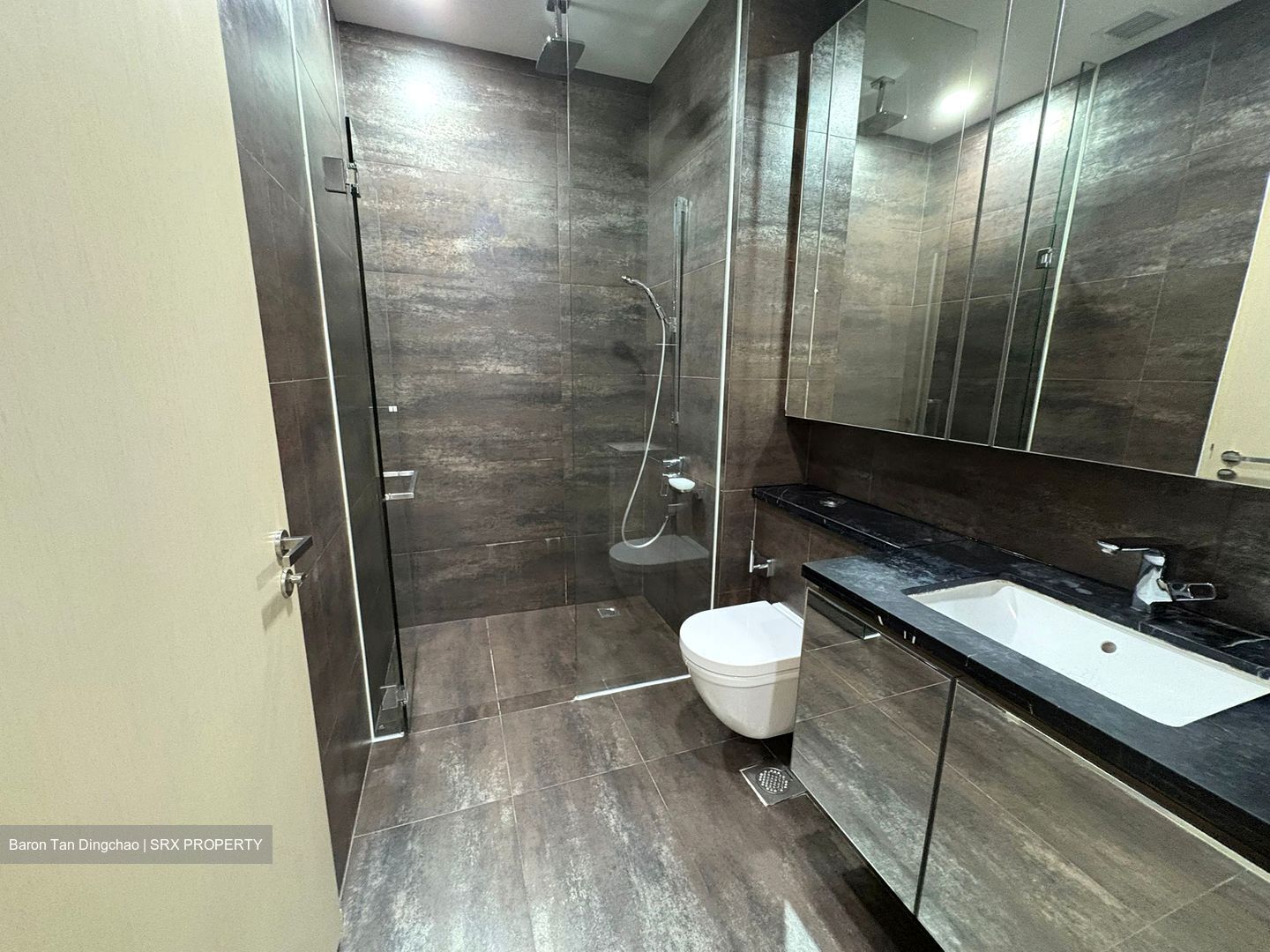 The Boutiq (D9), Apartment #545739211